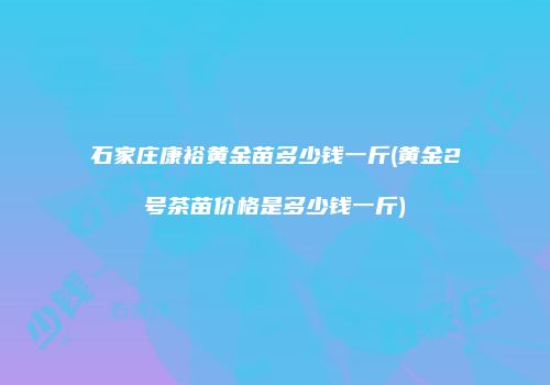 石家庄康裕黄金苗多少钱一斤(黄金2号茶苗价格是多少钱一斤)