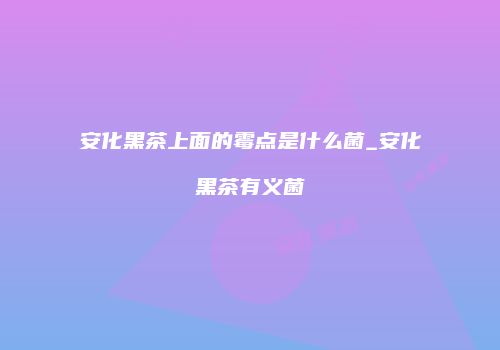 安化黑茶上面的霉点是什么菌_安化黑茶有义菌