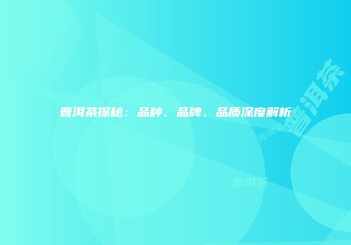 普洱茶探秘：品种、品牌、品质深度解析