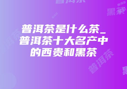 普洱茶是什么茶_普洱茶十大名产中的西贵和黑茶