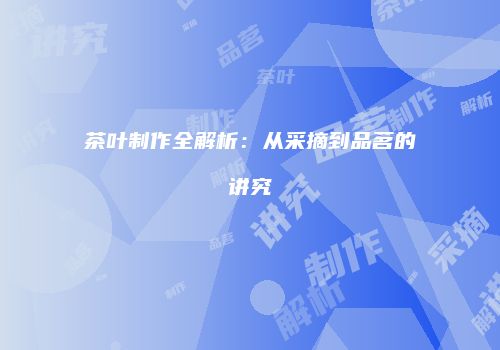 茶叶制作全解析：从采摘到品茗的讲究