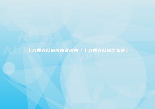 十六香大红袍价格及图片「十六香大红袍怎么样」