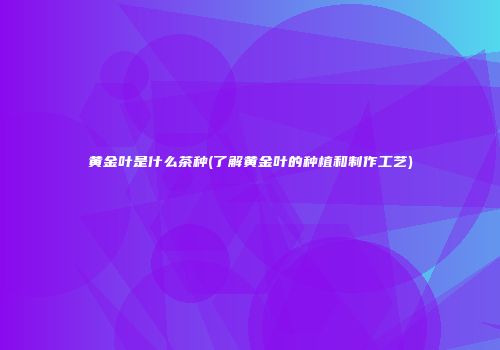 黄金叶是什么茶种(了解黄金叶的种植和制作工艺)