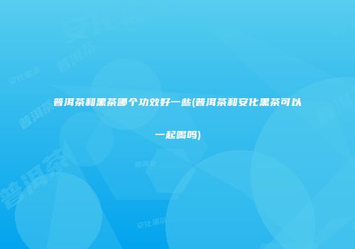 普洱茶和黑茶哪个功效好一些(普洱茶和安化黑茶可以一起喝吗)