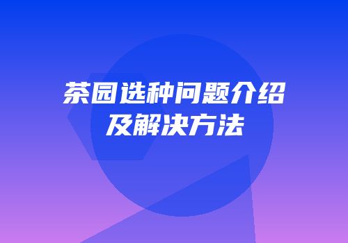 茶园选种问题介绍及解决方法