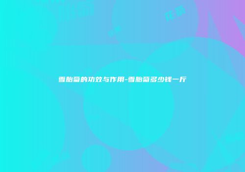 雪胎菊的功效与作用-雪胎菊多少钱一斤