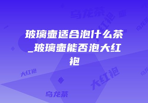 玻璃壶适合泡什么茶_玻璃壶能否泡大红袍