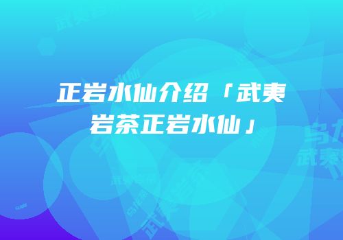 正岩水仙介绍「武夷岩茶正岩水仙」