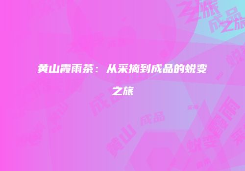 黄山霞雨茶：从采摘到成品的蜕变之旅