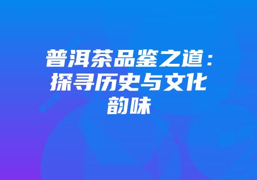普洱茶品鉴之道：探寻历史与文化韵味