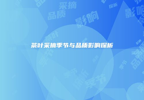茶叶采摘季节与品质影响探析