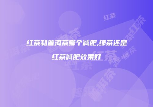 红茶和普洱茶哪个减肥,绿茶还是红茶减肥效果好