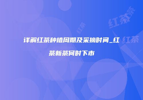 详解红茶种植周期及采摘时间_红茶新茶何时下市