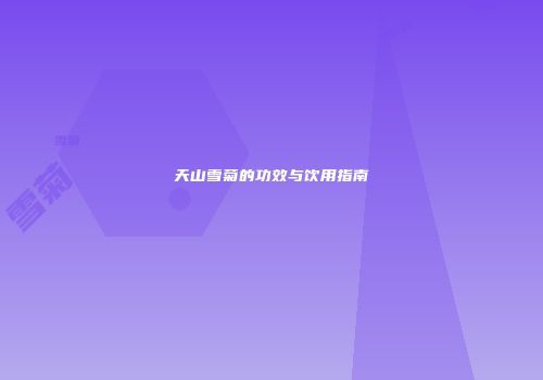 天山雪菊的功效与饮用指南
