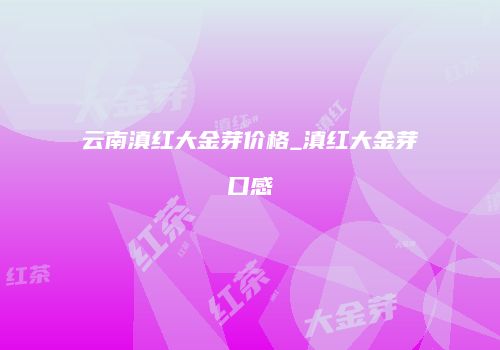 云南滇红大金芽价格_滇红大金芽口感