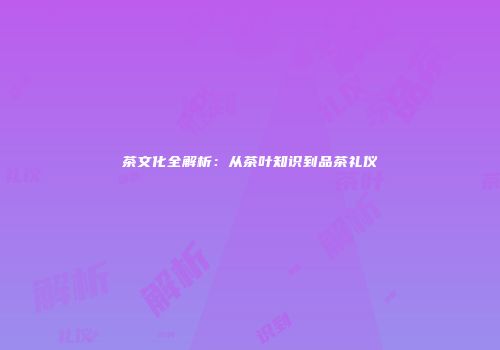 茶文化全解析：从茶叶知识到品茶礼仪
