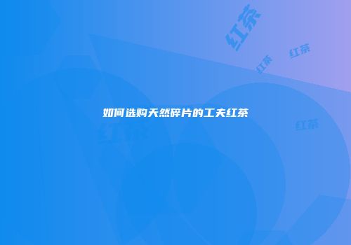 如何选购天然碎片的工夫红茶