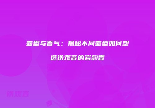 壶型与香气：揭秘不同壶型如何塑造铁观音的岩韵香