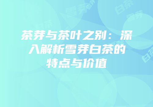茶芽与茶叶之别：深入解析雪芽白茶的特点与价值
