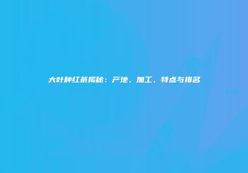 大叶种红茶揭秘：产地、加工、特点与排名