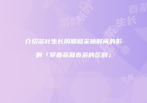 介绍茶叶生长周期和采摘时间的影响「早春茶和春茶的区别」