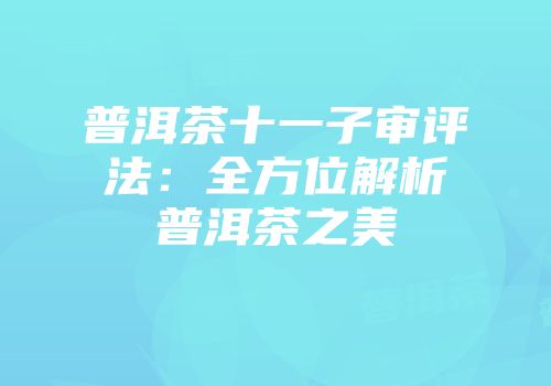 普洱茶十一子审评法：全方位解析普洱茶之美