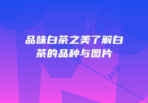 品味白茶之美了解白茶的品种与图片