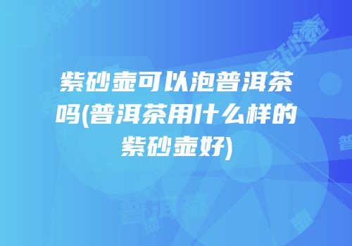 紫砂壶可以泡普洱茶吗(普洱茶用什么样的紫砂壶好)