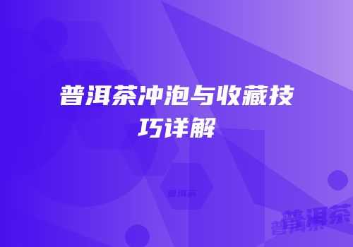普洱茶冲泡与收藏技巧详解