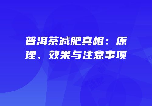 普洱茶减肥真相：原理、效果与注意事项