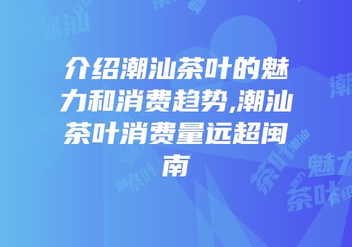 介绍潮汕茶叶的魅力和消费趋势,潮汕茶叶消费量远超闽南