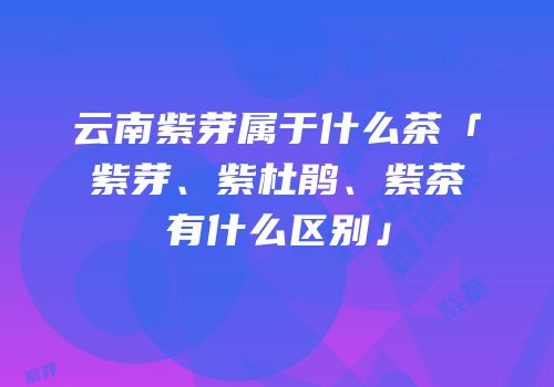 云南紫芽属于什么茶「紫芽、紫杜鹃、紫茶有什么区别」