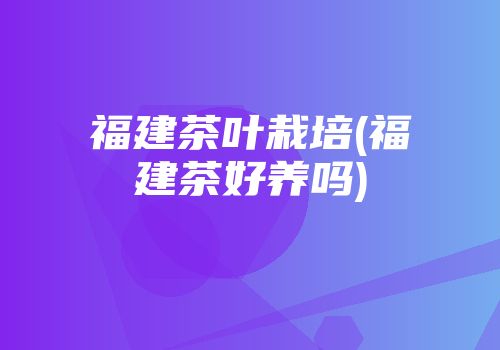 福建茶叶栽培(福建茶好养吗)