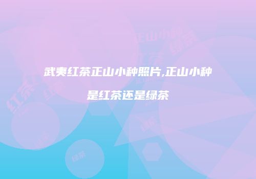 武夷红茶正山小种照片,正山小种是红茶还是绿茶