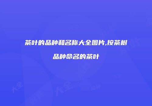 茶叶的品种和名称大全图片,按茶树品种命名的茶叶