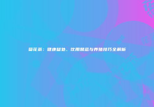 菊花茶：健康益处、饮用禁忌与养殖技巧全解析