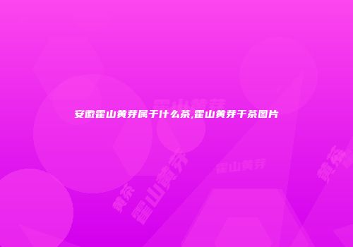 安徽霍山黄芽属于什么茶,霍山黄芽干茶图片