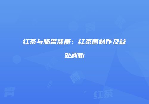 红茶与肠胃健康：红茶菌制作及益处解析