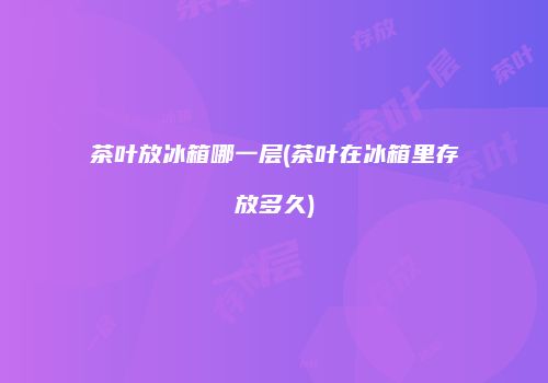 茶叶放冰箱哪一层(茶叶在冰箱里存放多久)