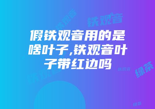 假铁观音用的是啥叶子,铁观音叶子带红边吗