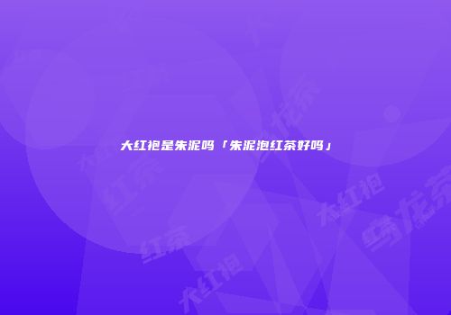 大红袍是朱泥吗「朱泥泡红茶好吗」