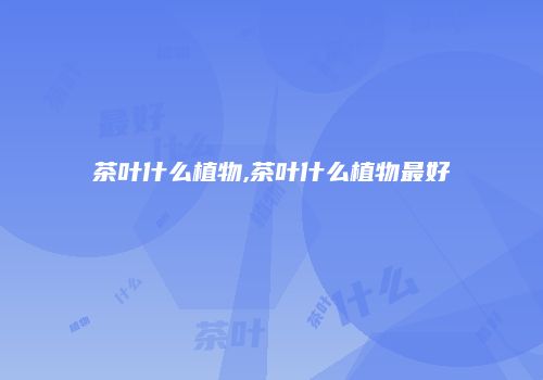 茶叶什么植物,茶叶什么植物最好