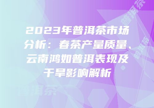 2023年普洱茶市场分析：春茶产量质量、云南鸿如普洱表现及干旱影响解析