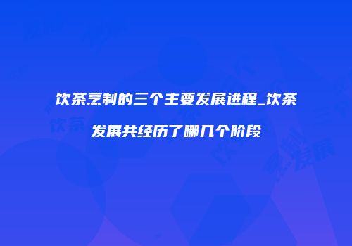 饮茶烹制的三个主要发展进程_饮茶发展共经历了哪几个阶段