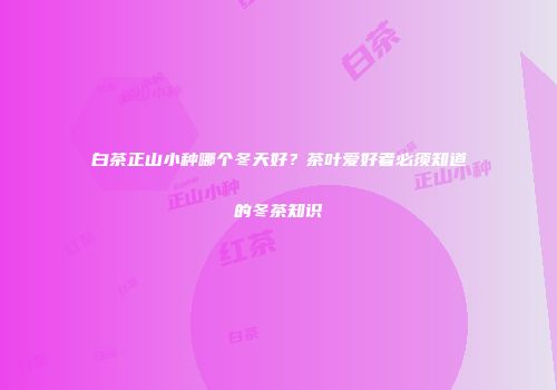 白茶正山小种哪个冬天好？茶叶爱好者必须知道的冬茶知识