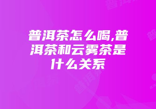 普洱茶怎么喝,普洱茶和云雾茶是什么关系