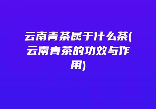 云南青茶属于什么茶(云南青茶的功效与作用)