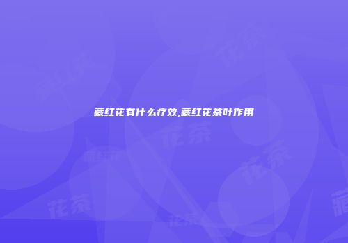 藏红花有什么疗效,藏红花茶叶作用