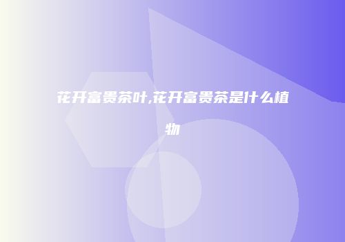花开富贵茶叶,花开富贵茶是什么植物