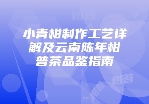 小青柑制作工艺详解及云南陈年柑普茶品鉴指南